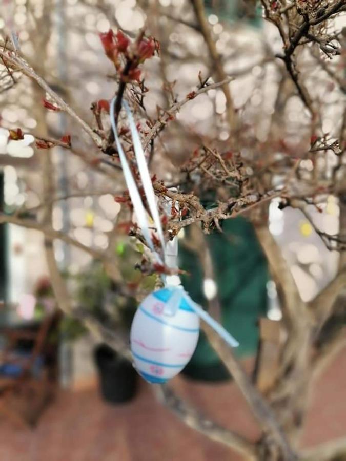 Dairos Leilighet Mali Lošinj Eksteriør bilde
